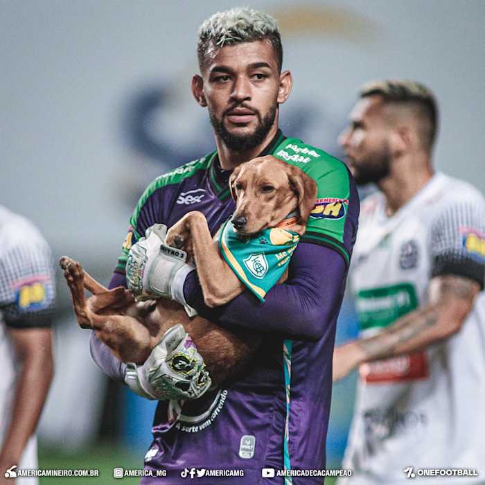 Image placeholder title